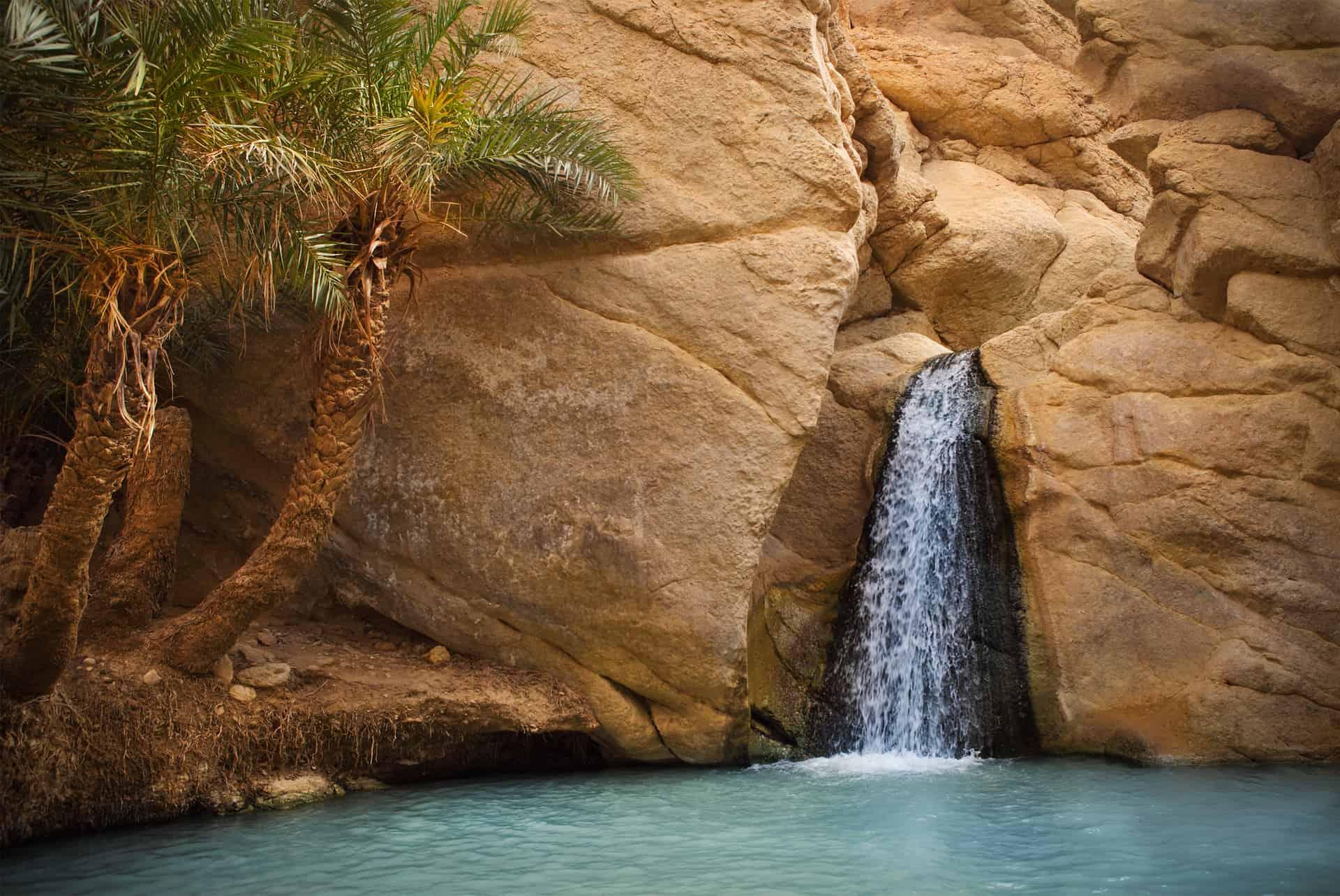 oasis of tozeur