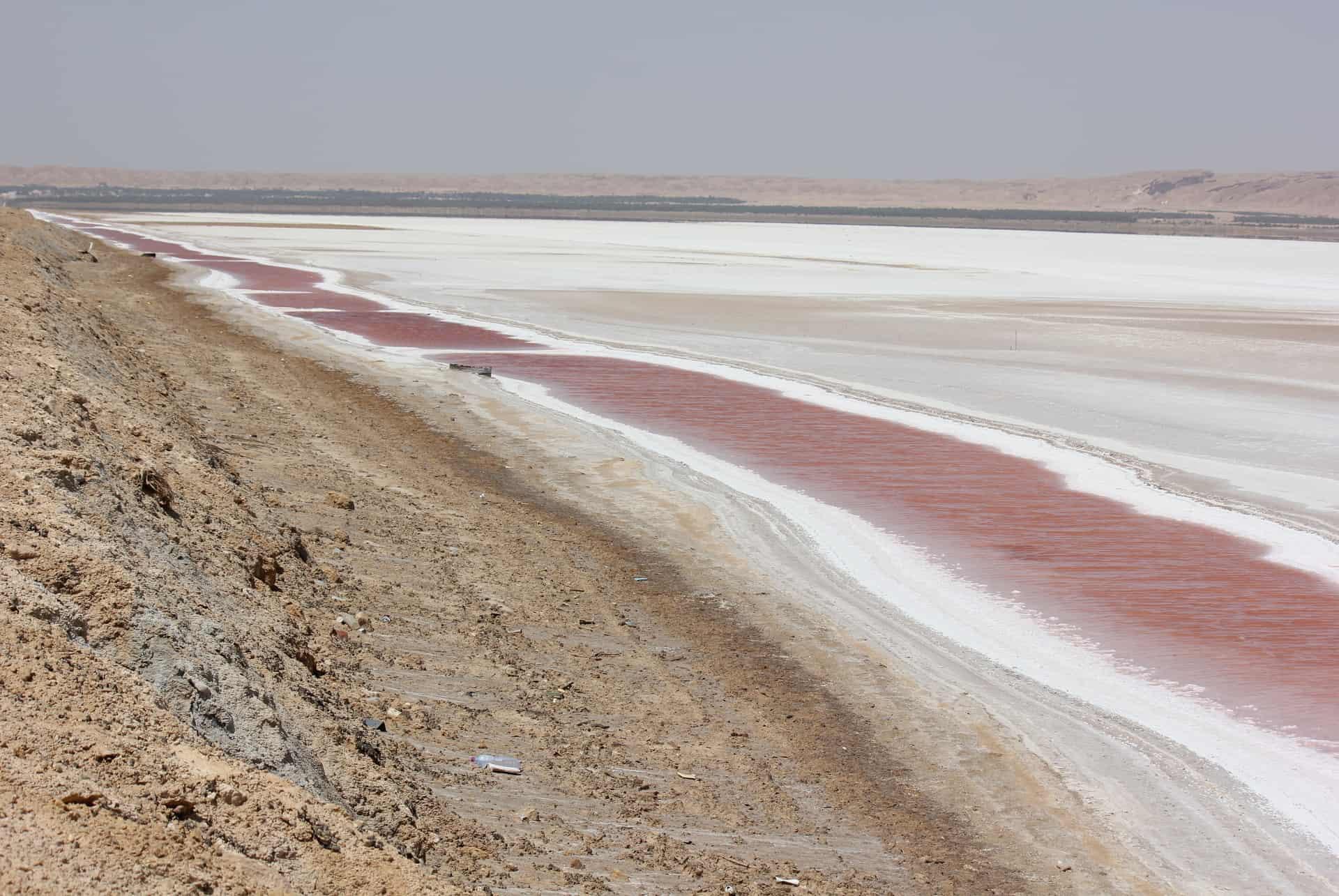chott el jerid