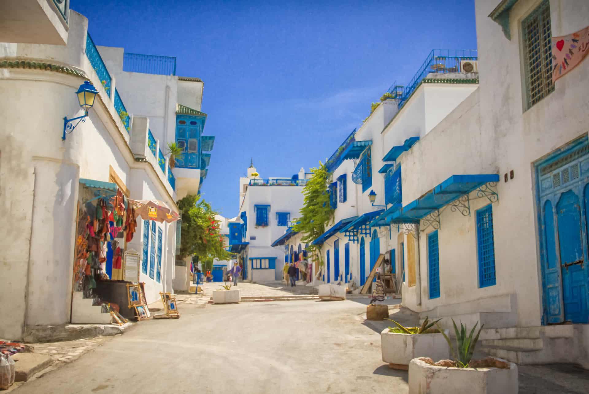 what to do tunisia streets of sidi bou said
