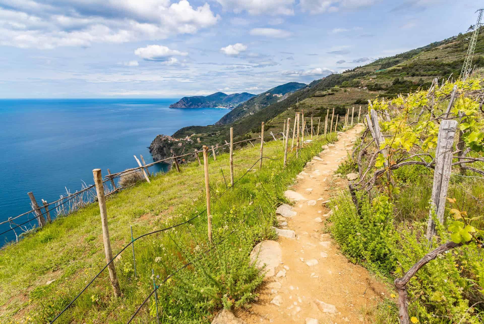 sentiero azzurro visit cinque terre