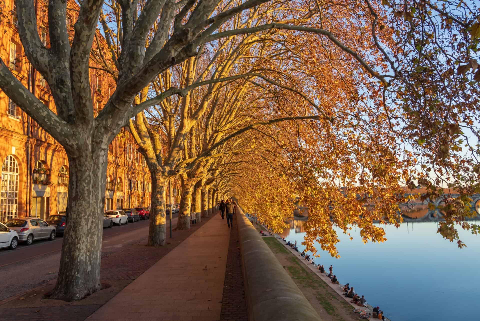 autumn when to go to toulouse