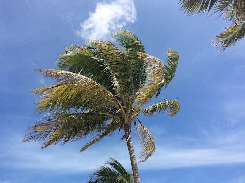 Caye Caulker, Belize, Latin America