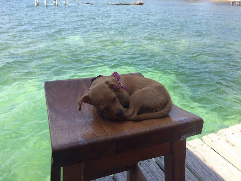 Caye Caulker, Belize, Latin America