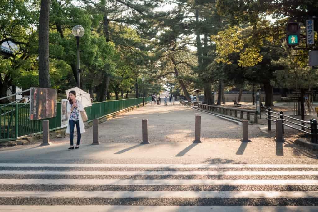 Japan, Nara, deer, temple, Kyoto