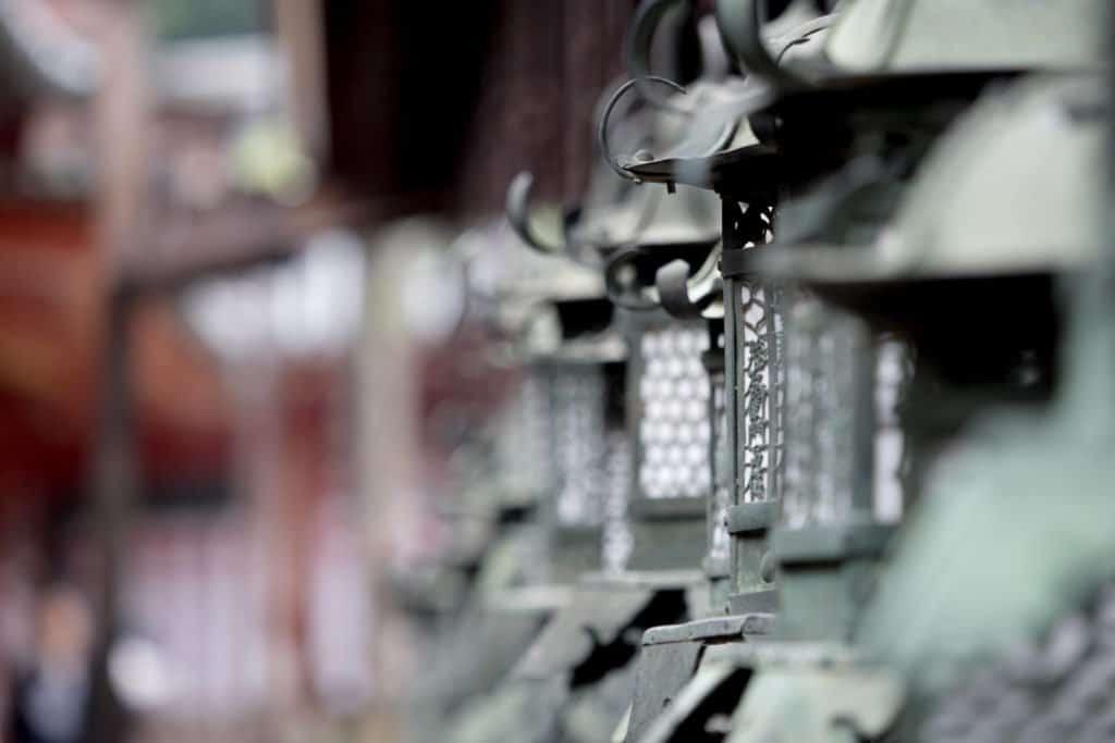 Japan, Nara, deer, temple, Kyoto