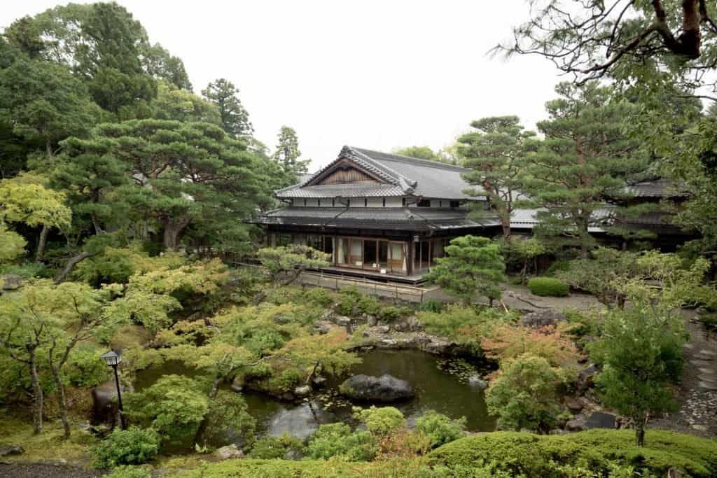 Japan, Nara, deer, temple, Kyoto