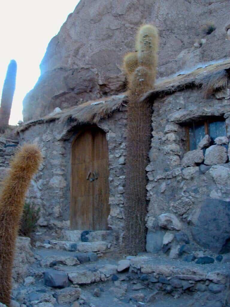 Cactus, house, Uyuni, Bolivia