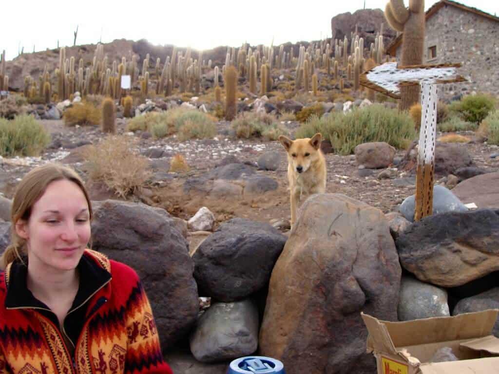 Dog, coral, cactus, meal, island, salt desert, Uyuni, Bolivia