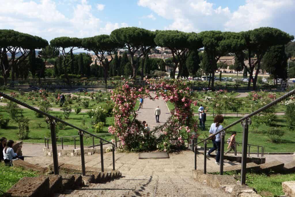 Rose garden