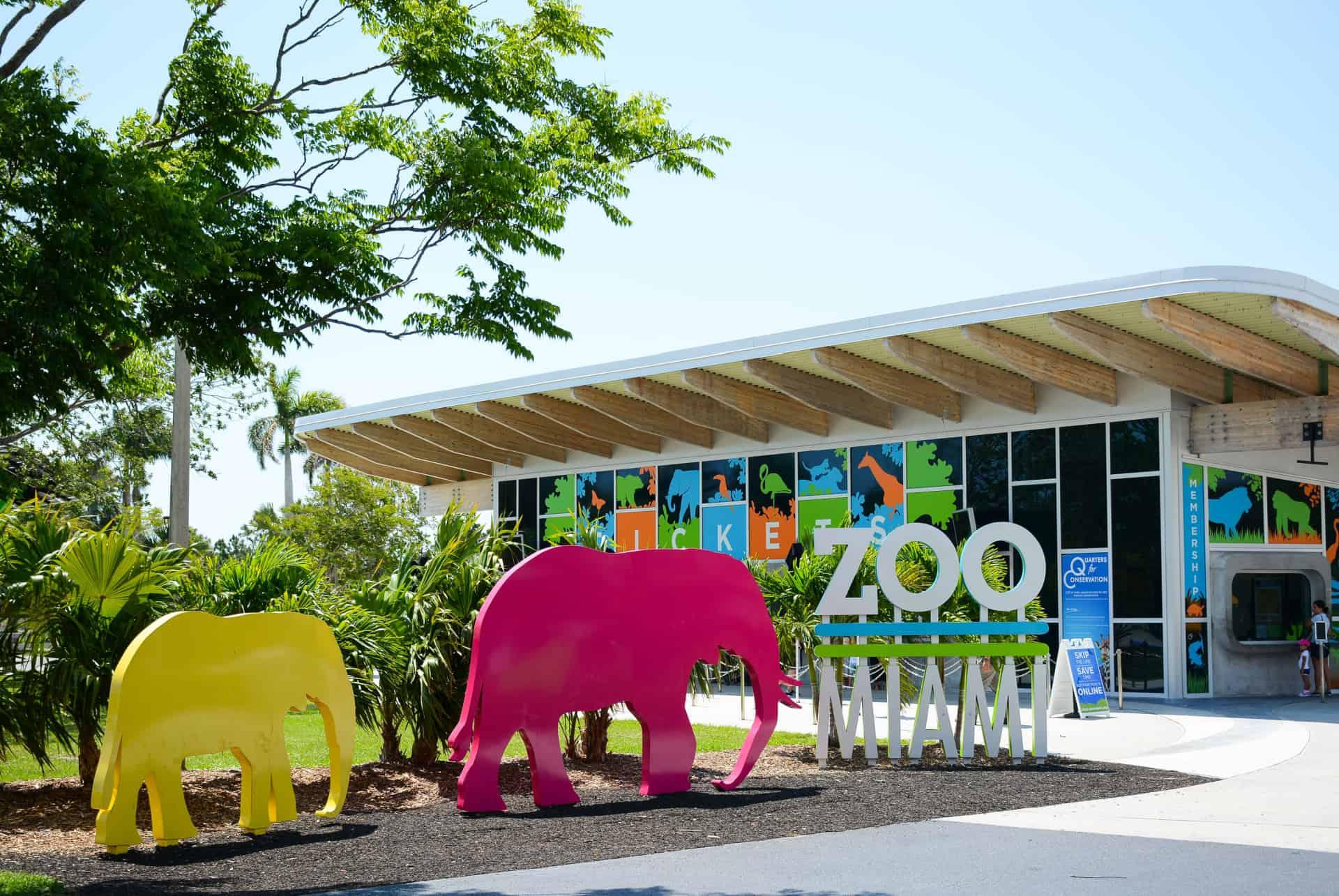 what to do in miami zoo