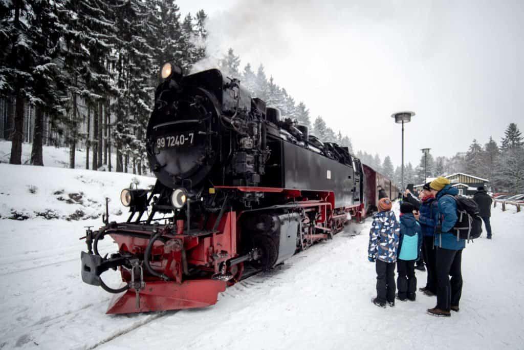 Germany, travel, Harz, nature, timber framing, park, reserve, steam train
