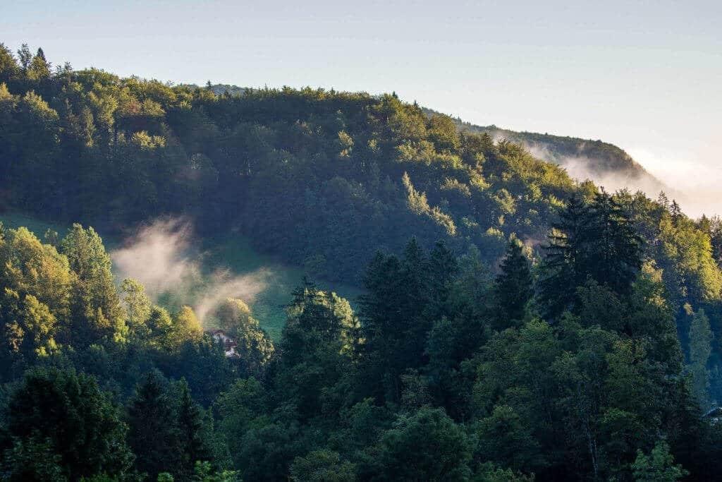 Germany, Bavaria, Berchtesgaden, EnjoyGermanNature,
