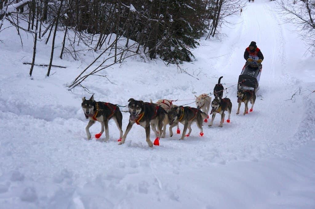 Sled going up