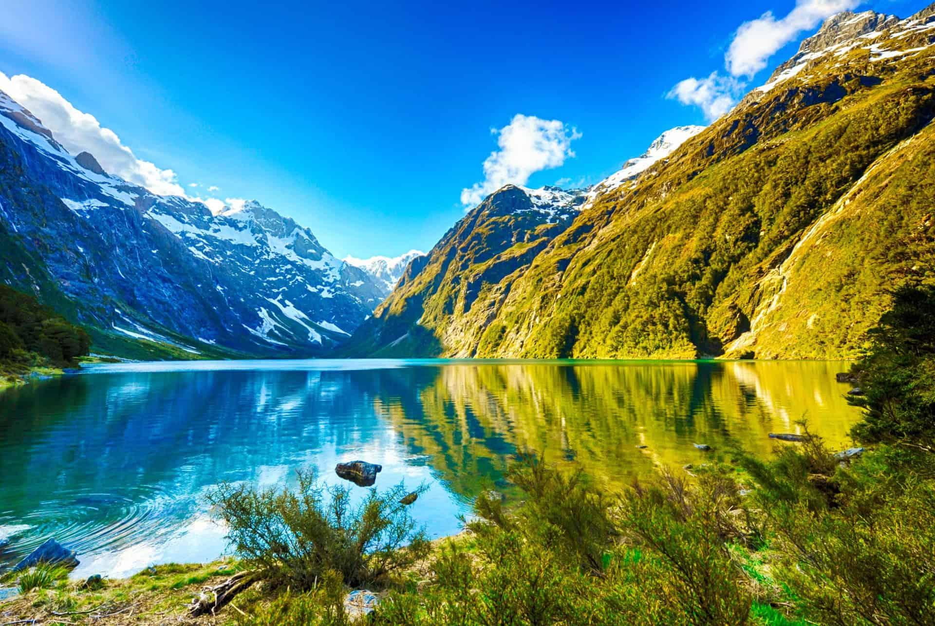fiordland national park new zealand