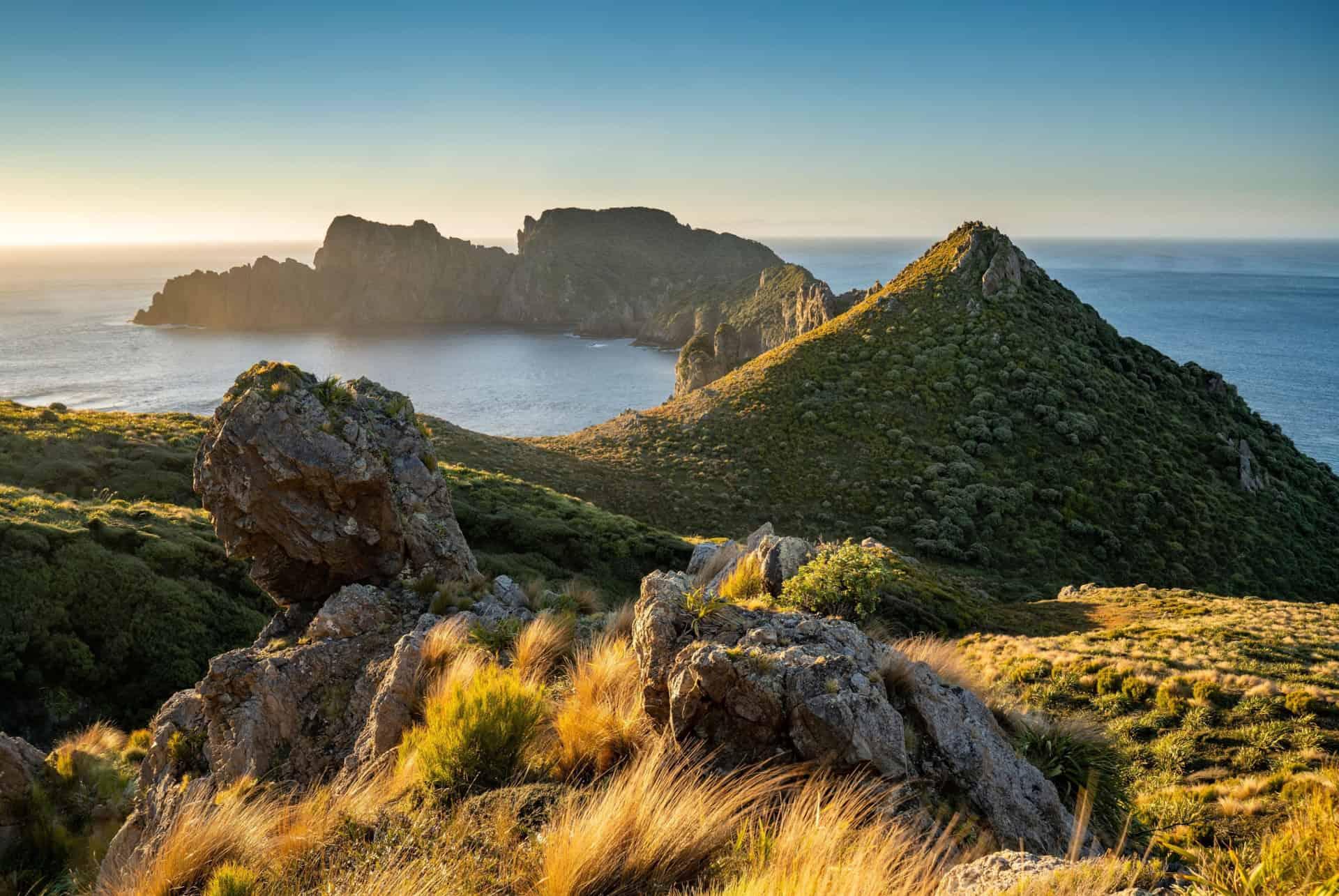 stewart island new zealand
