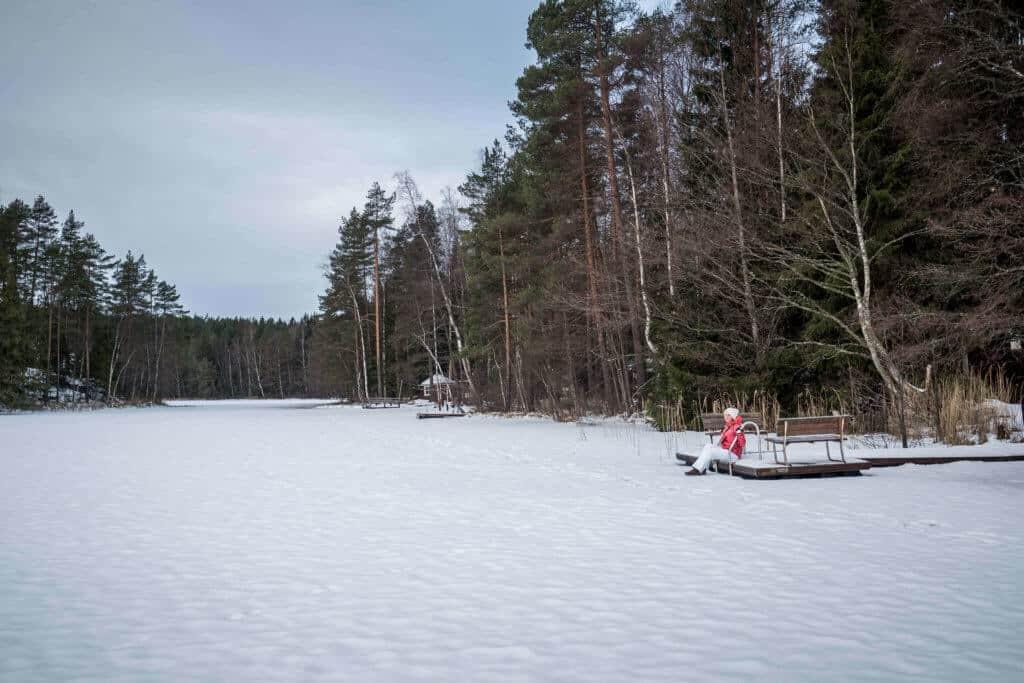 Finland, travel, winter, Lahti, Päijänne, Helsinki