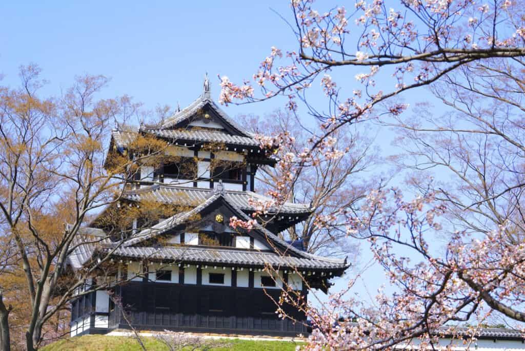 discovering japan