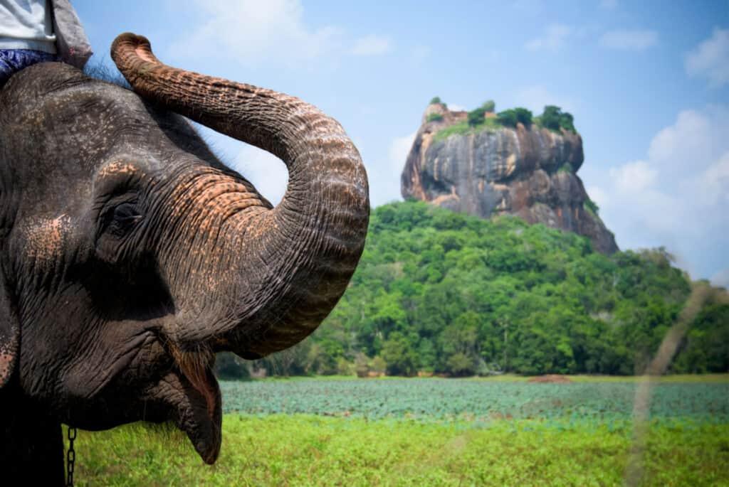 sri lanka where to go for sunshine in april