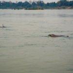 Cambodia, recap, practical information