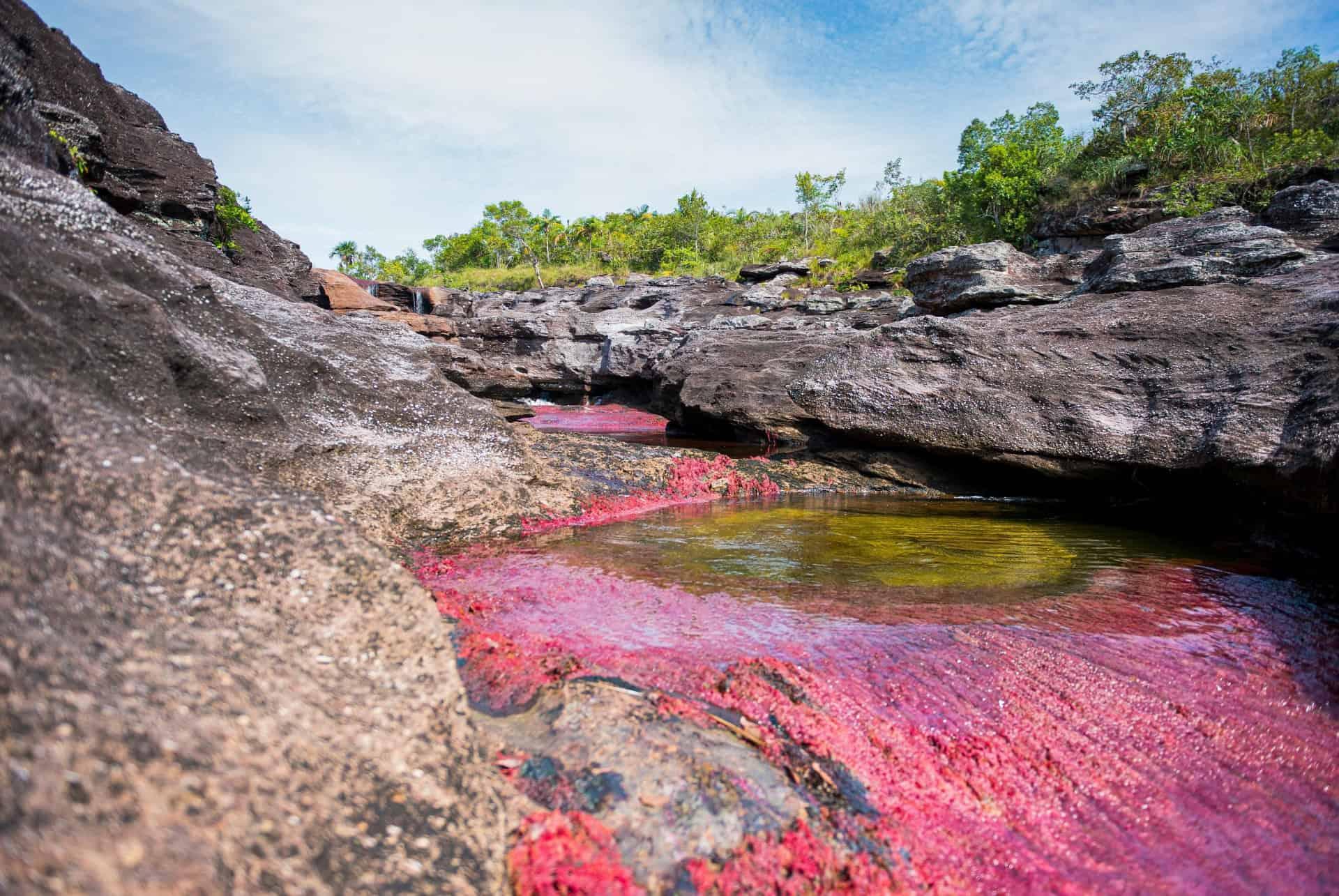 Caño Cristales Colombia