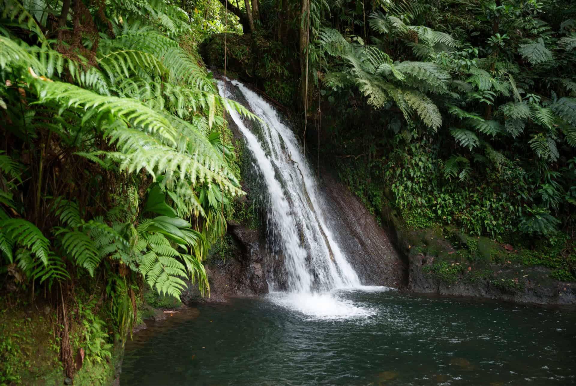 Ecrevisses Waterfall Guadeloupe