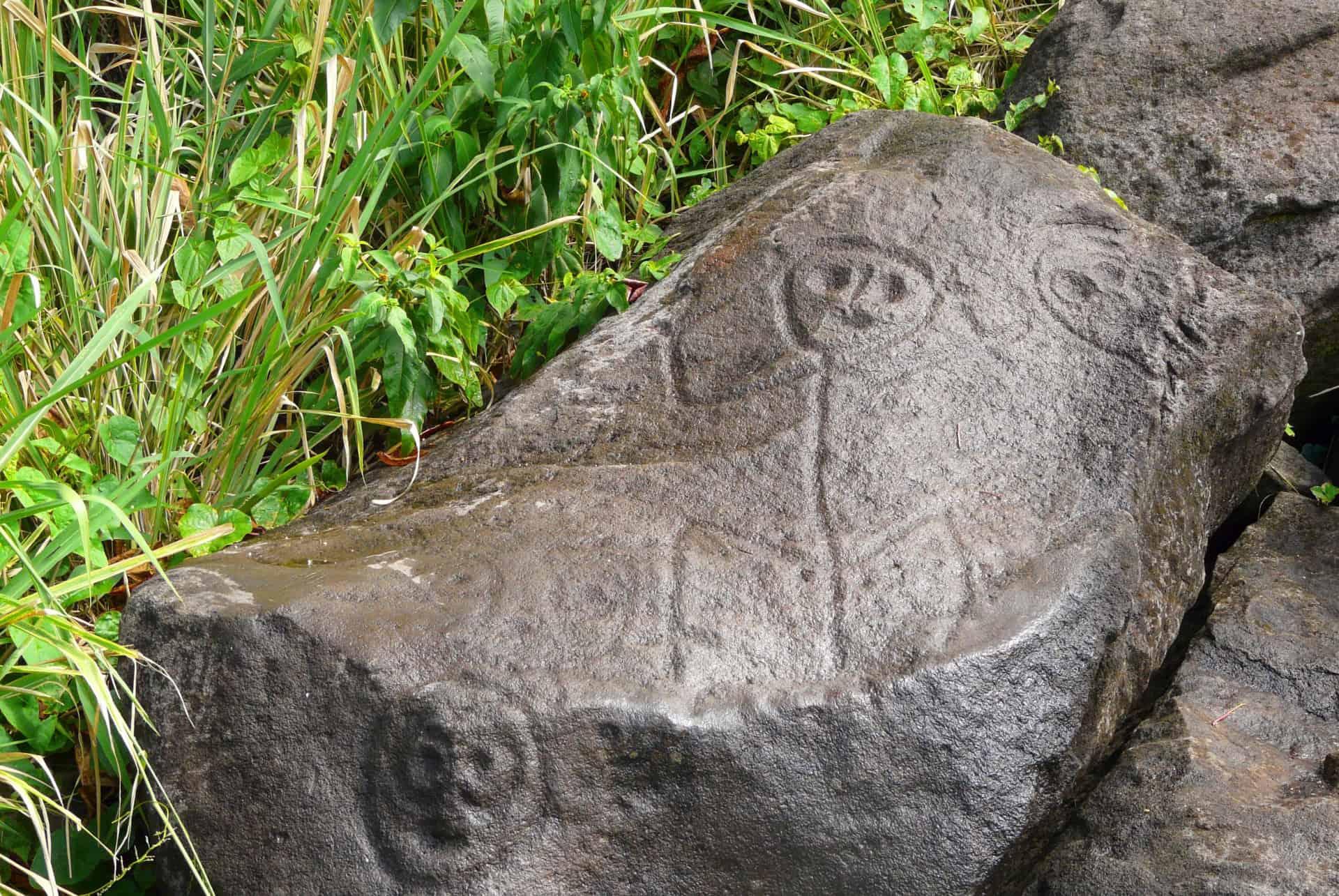 Rock Engravings Park Trois-Rivières Guadeloupe