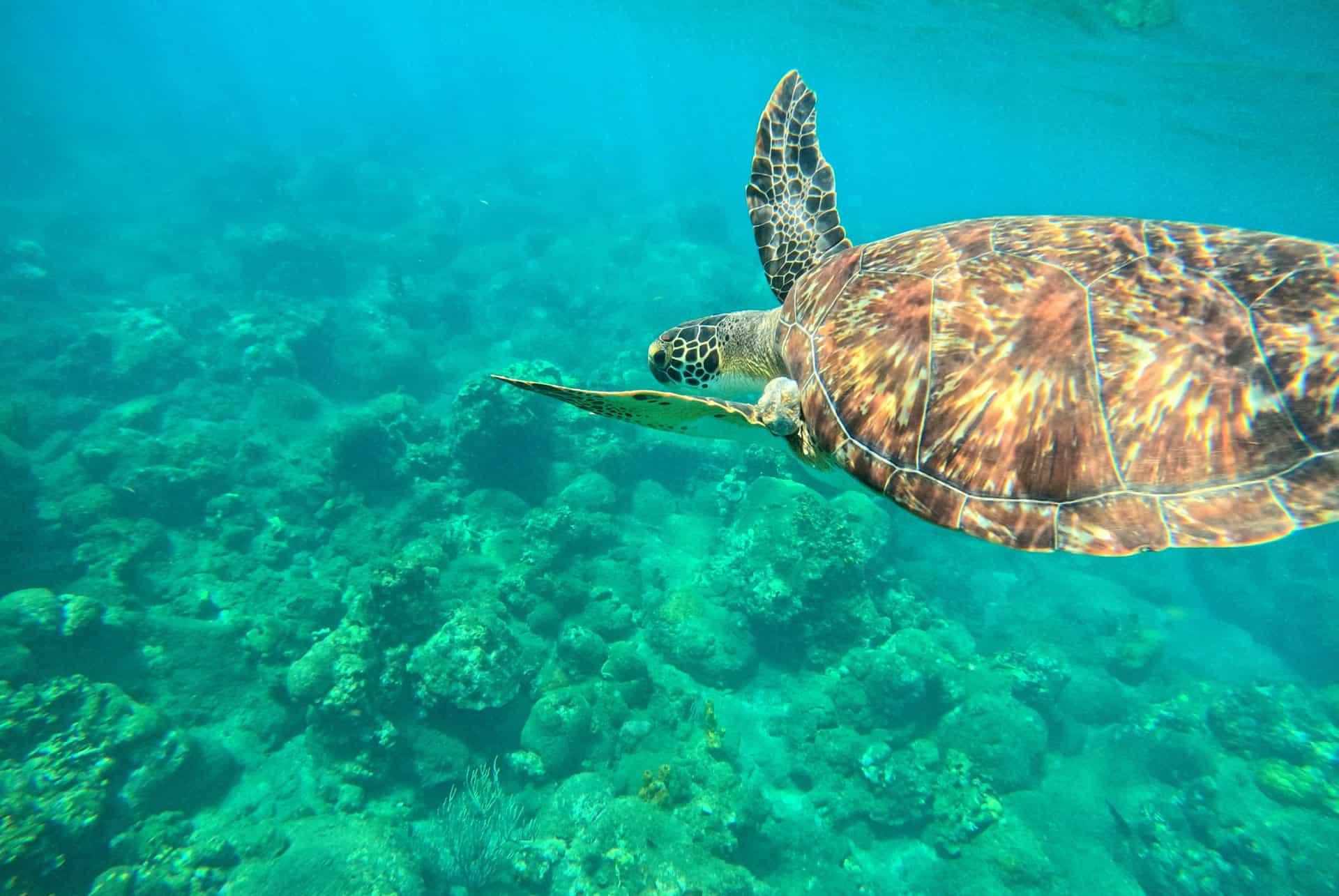 Activities in Guadeloupe