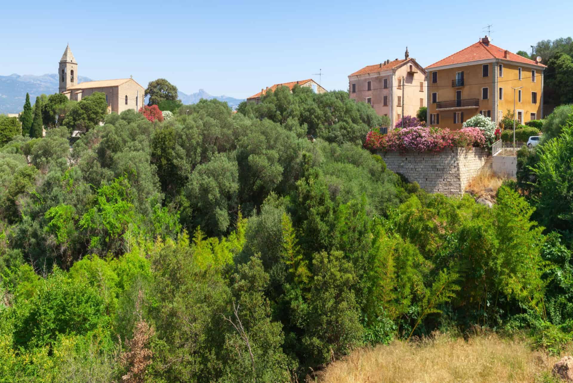 what to do in figari