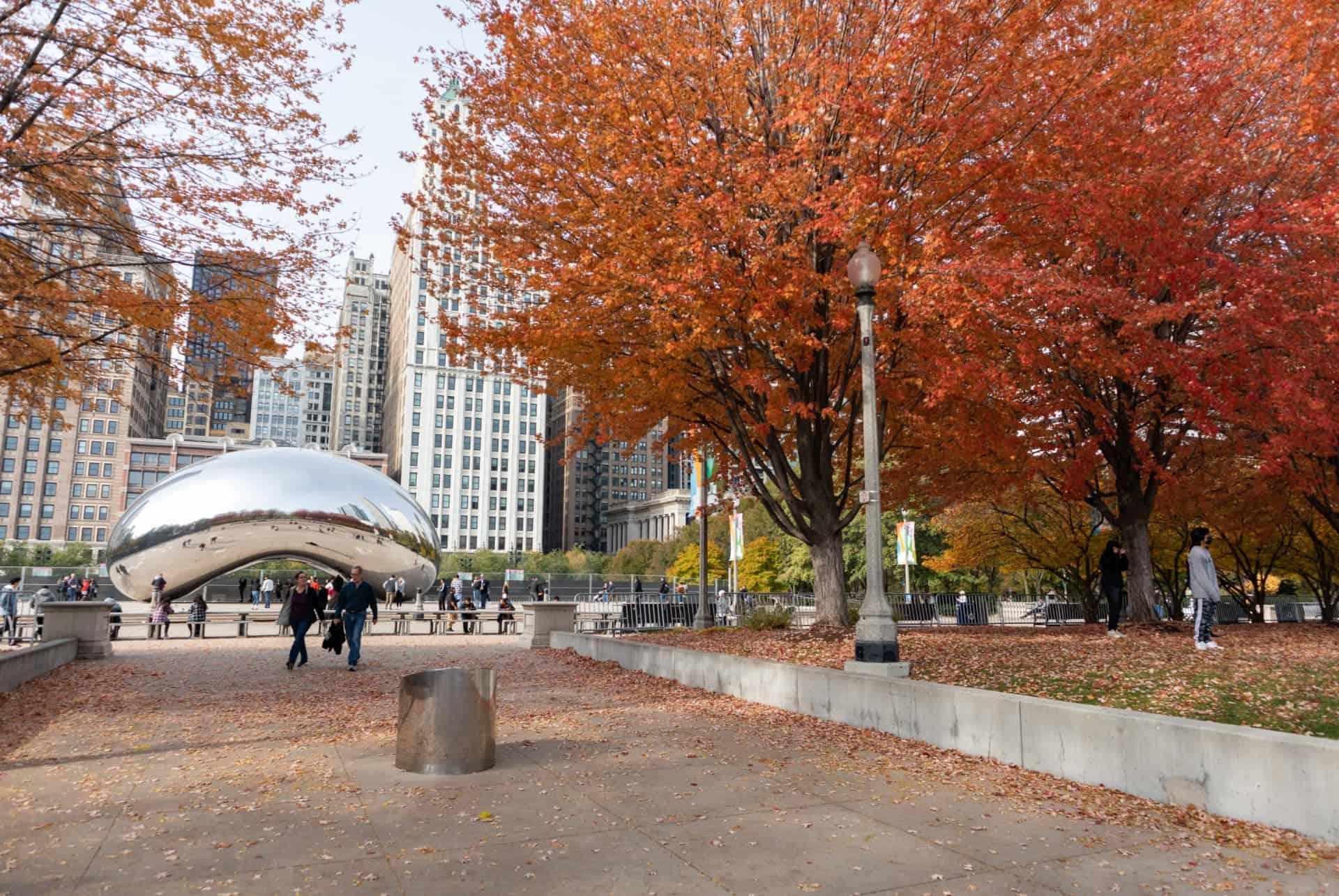 millennium park autumn