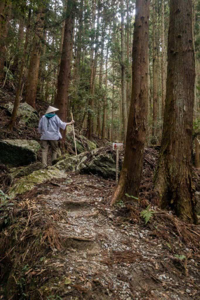 Shikoku, pilgrimage, pilgrim, family, baby, Japan, journey, henro, ohenro, temple, woods, forest, tree, path, hiking, trek, traveler, mom, baby carrier, Amandine