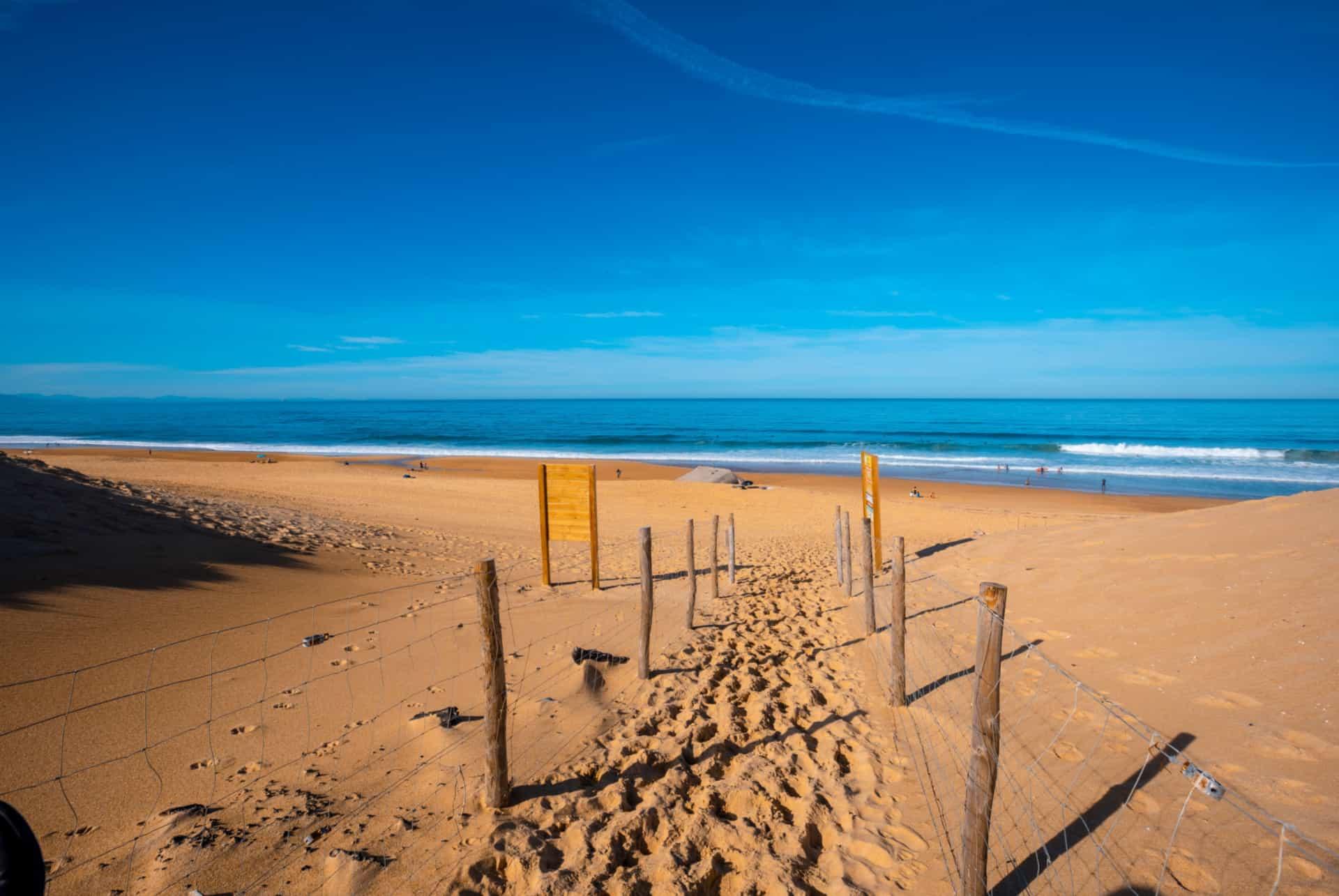 What to do in the Landes