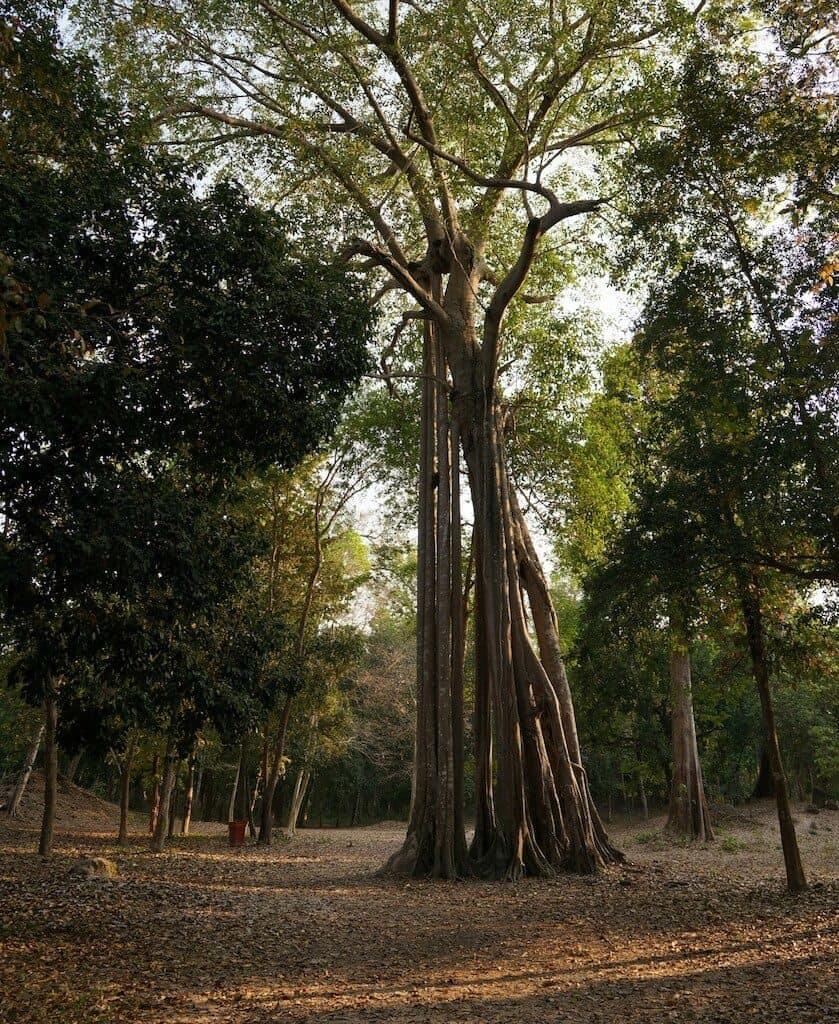 Sambor Prei Kuk, Kompong Thom, Cambodia