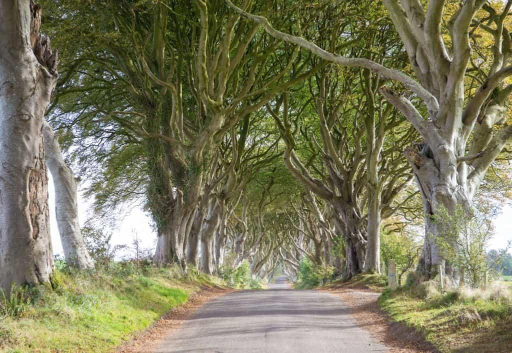 Northern Ireland, Ireland