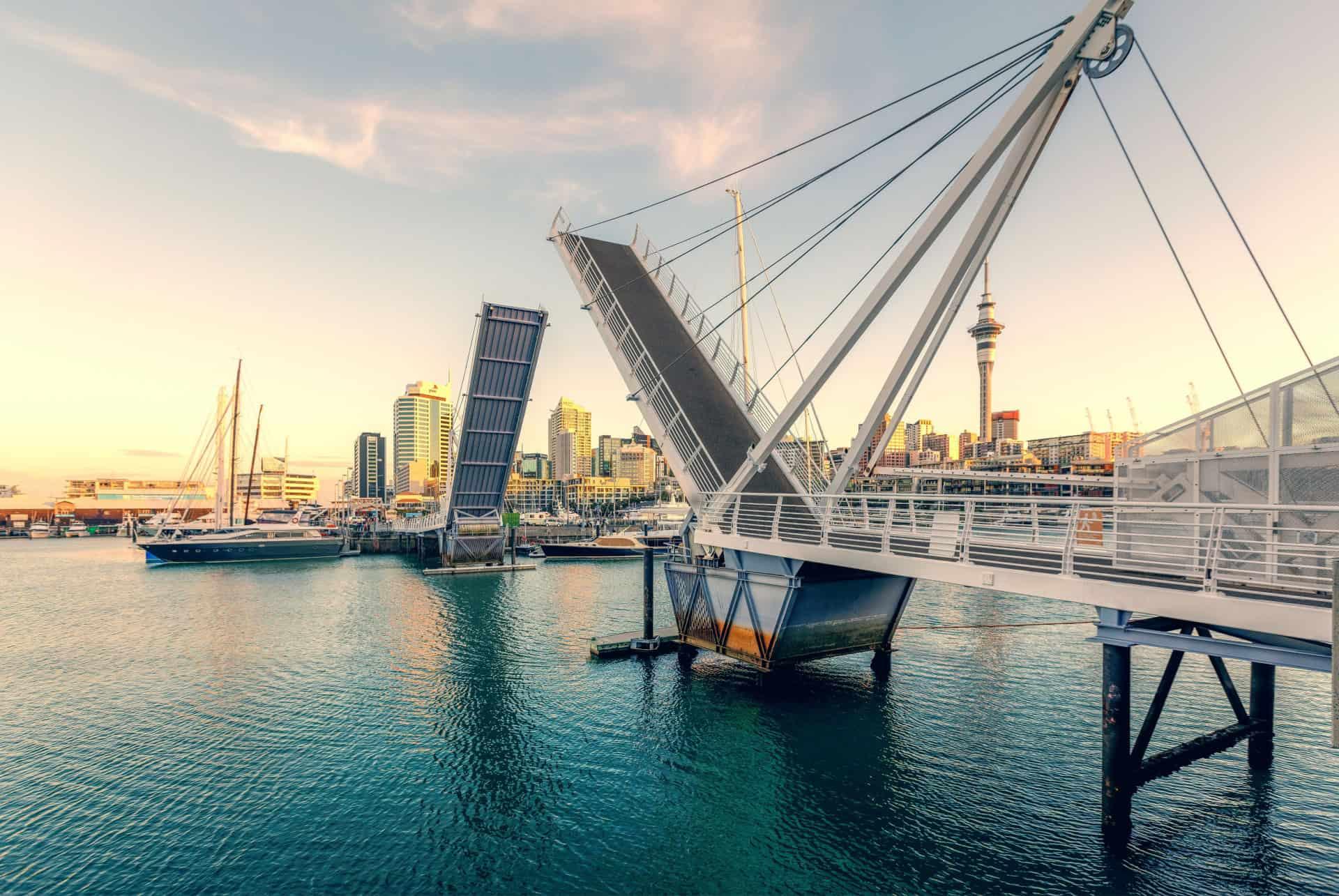 viaduct harbour things to do in auckland