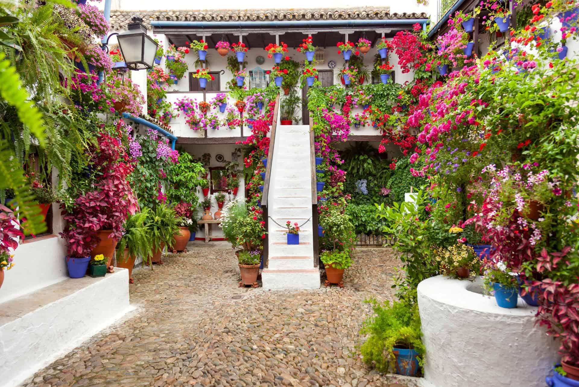 the patios of cordoba