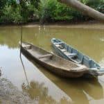 Mangrove of Tumbes