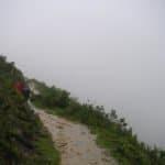 Long live the rainy season!