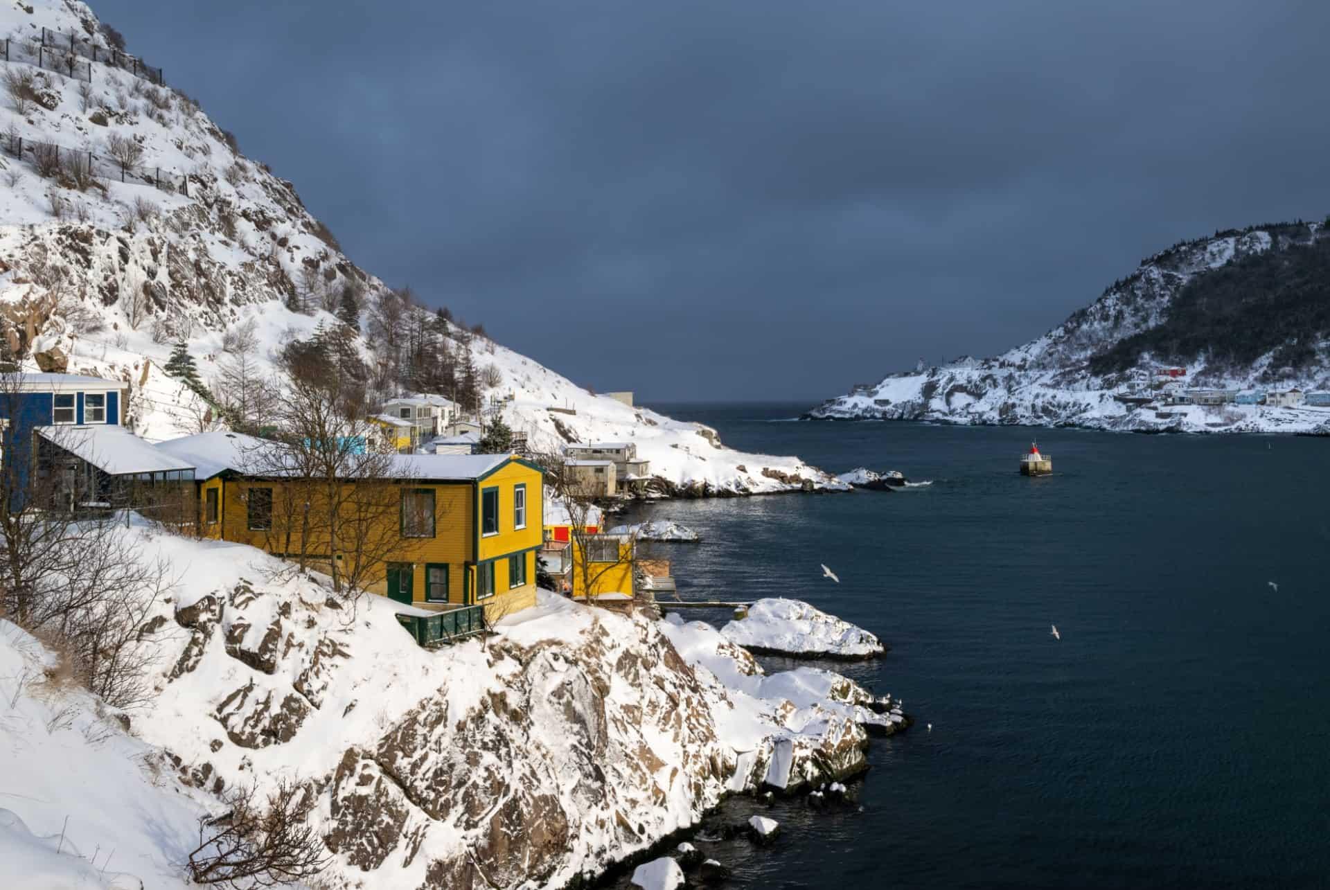 Newfoundland fjords