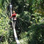 Tree climbing in the jungle, Tambopata, Amazon, Peru