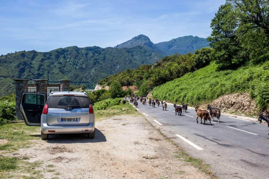 Castagniccia, Corsica, roadtrip