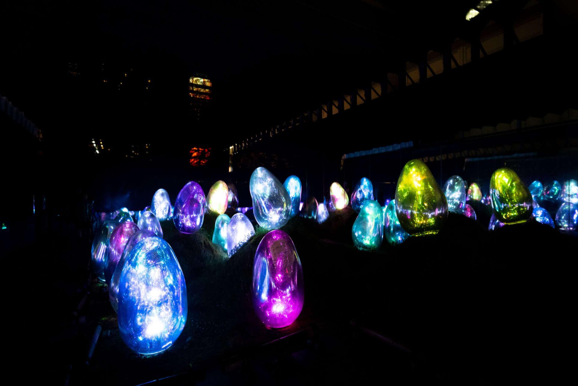 What to do in Tokyo visit teamlab