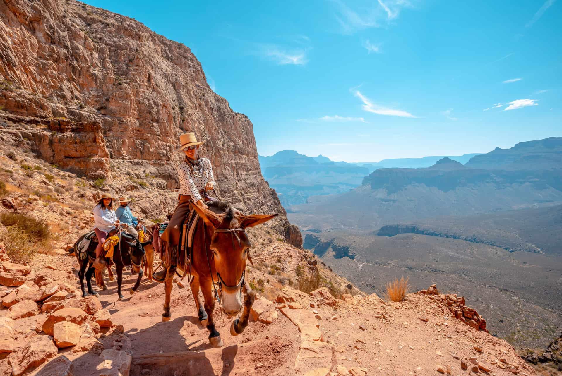 mule ride grand canyon