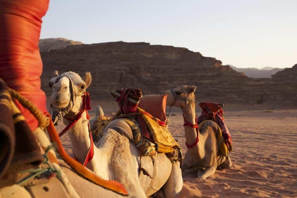 Jordan, Wadi Rum, desert