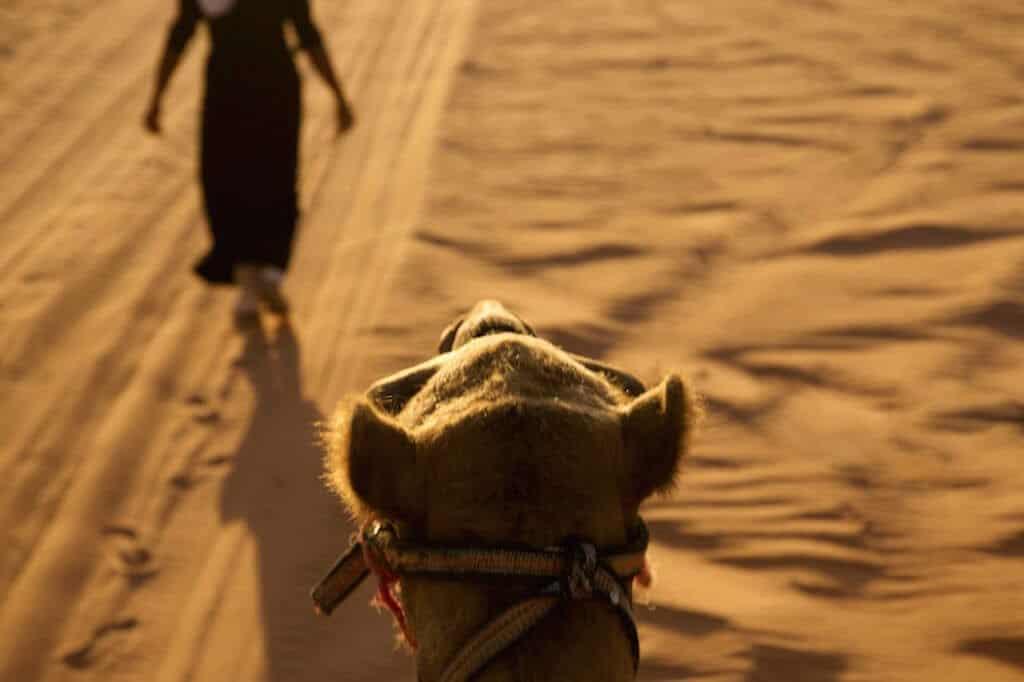 Jordan, Wadi Rum, desert