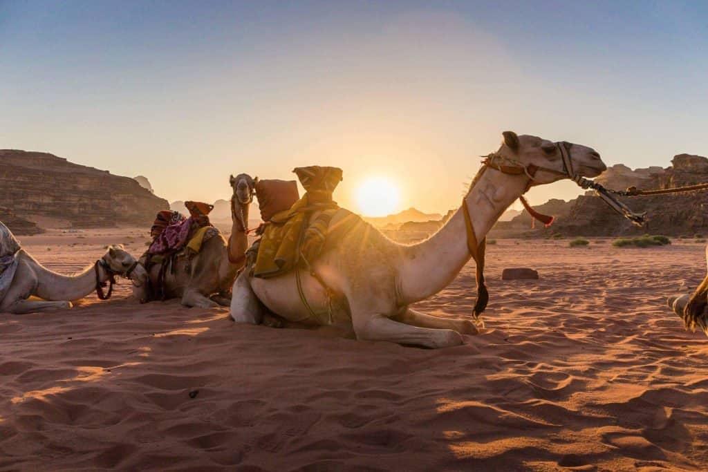 Jordan, Wadi Rum, desert