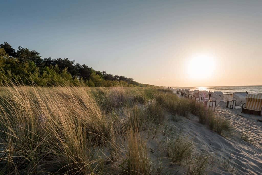 Fischland-Darss-Zingst, Germany, peninsula, nature, road trip
