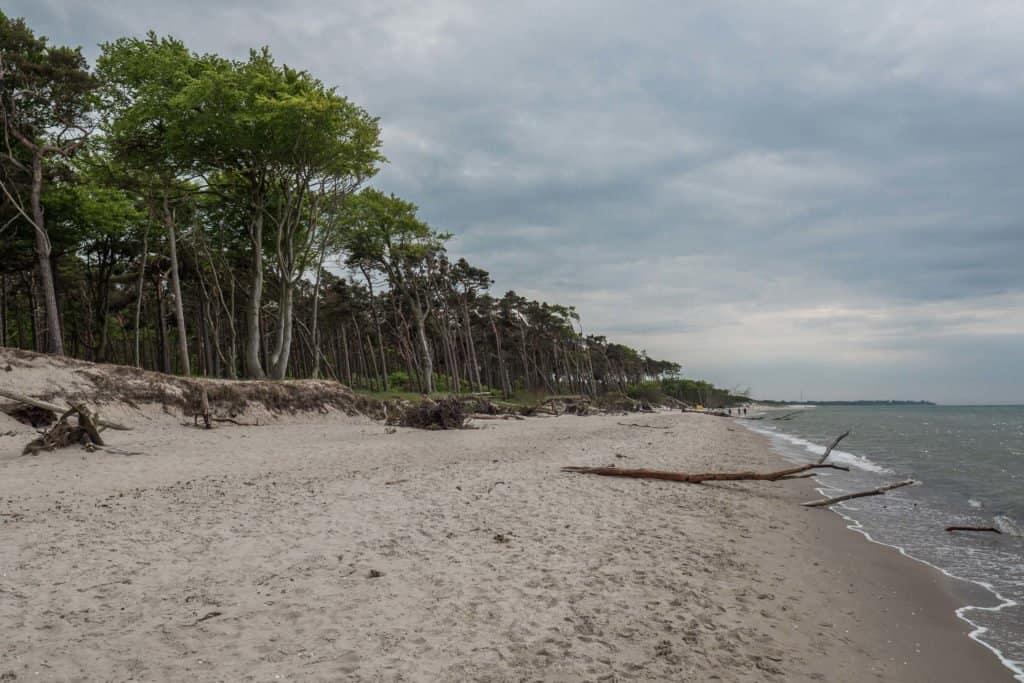 Fischland-Darss-Zingst, Germany, peninsula, nature, road trip