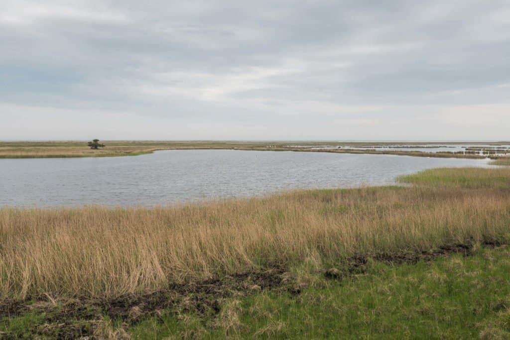 Fischland-Darss-Zingst, Germany, peninsula, nature, road trip