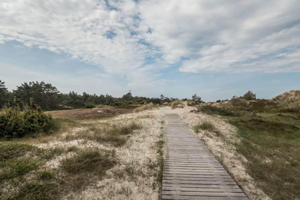 Fischland-Darss-Zingst, Germany, peninsula, nature, road trip