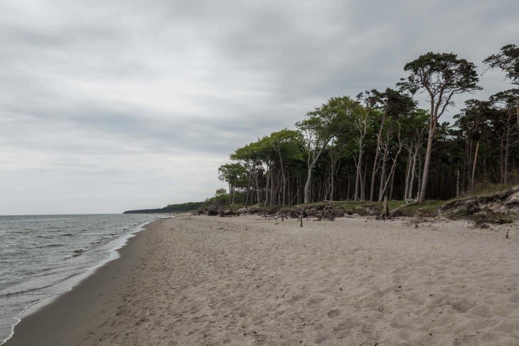 Fischland-Darss-Zingst, Germany, peninsula, nature, road trip